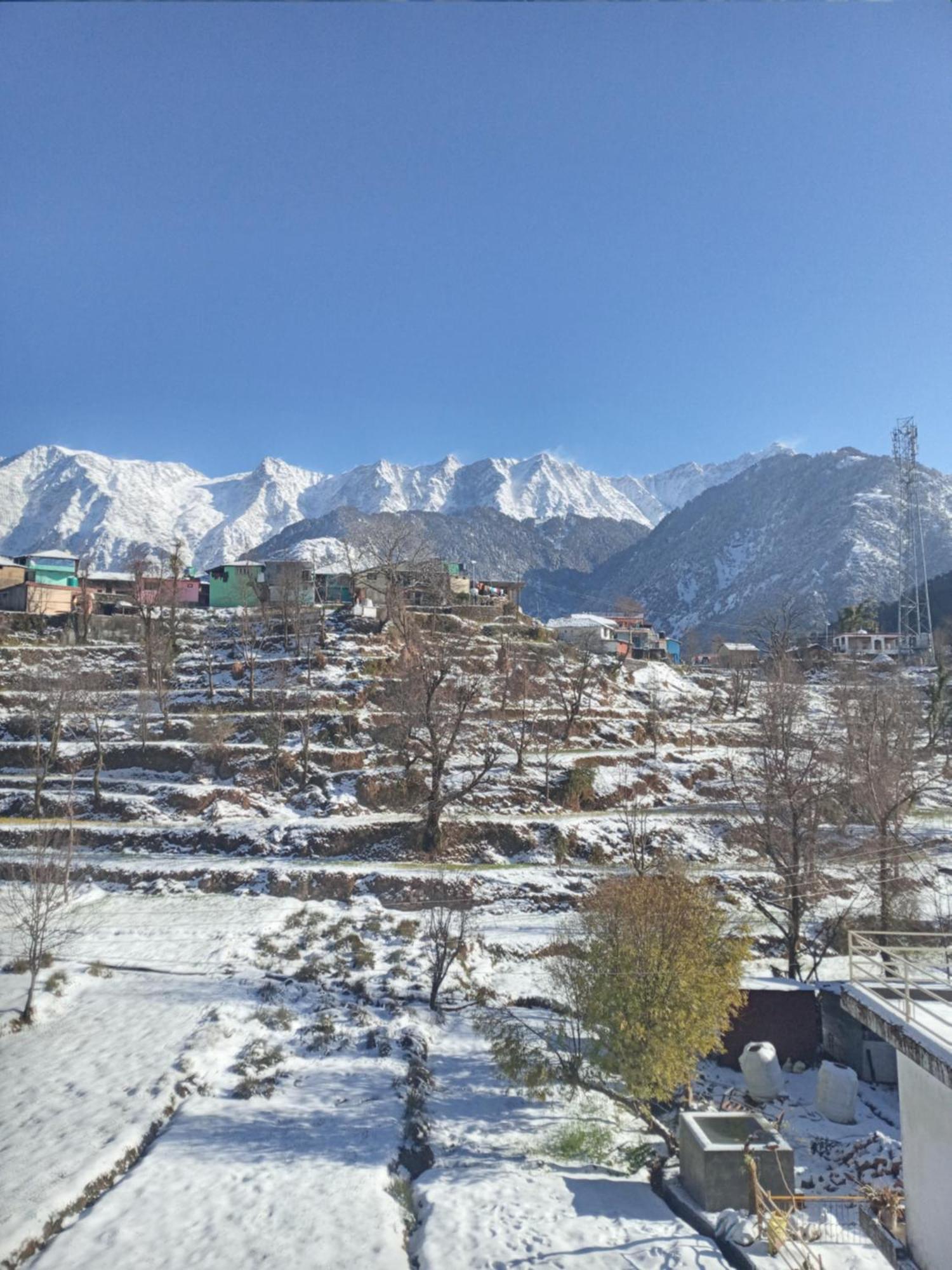 Nirmal Homestay Dharamshala Esterno foto