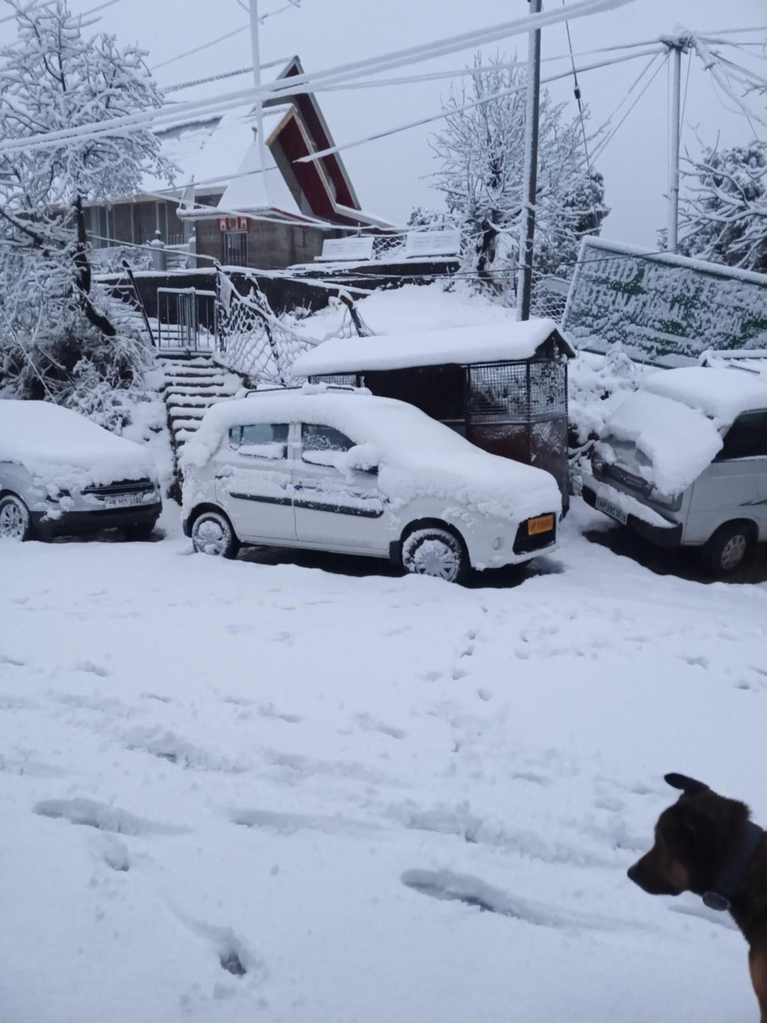 Nirmal Homestay Dharamshala Esterno foto