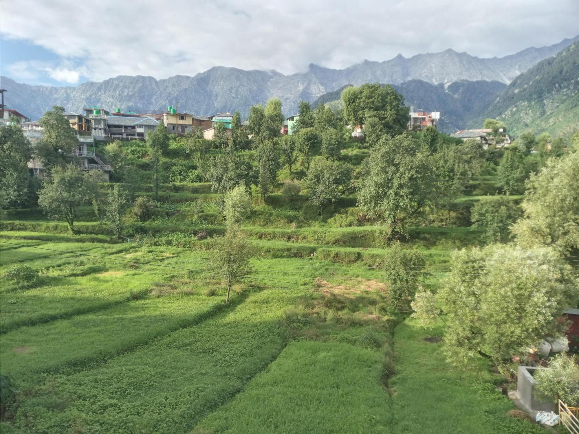 Nirmal Homestay Dharamshala Esterno foto